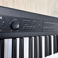 KORG(コルグ) 電子ピアノ D1 88鍵盤+フットペダルの画像