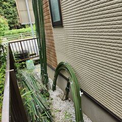 畑で使っていた支柱
