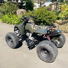 動画有りフルLED四輪バギーミニカー登録の画像