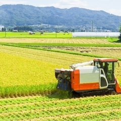 ［令和6年］あきたこまち新米30㌔