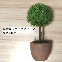 フェイクグリーン 光触媒トピアリープランツ 観葉植物