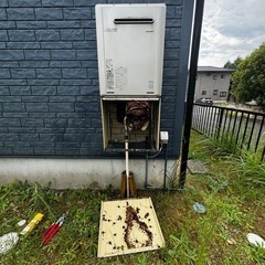 ハチ駆除🐝無料相談見積り🐝地域最安値🐝の画像