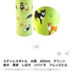 ⭐️未使用⭐️ステンレスボトル450mlの画像