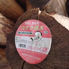 樹皮を剥いだ きのこ栽培用コナラ原木