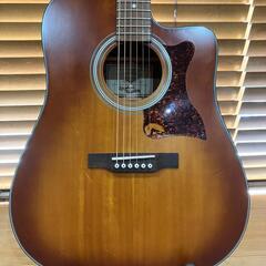 オール単板  Epiphone DR-400 MCE masterbiltの画像