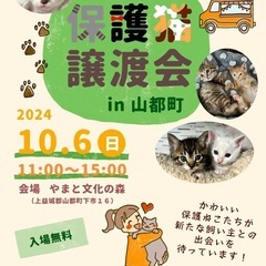 １０月６日初めての山都町での譲渡会