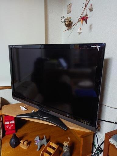 テレビ