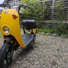 スズキ　チョイノリ 50cc