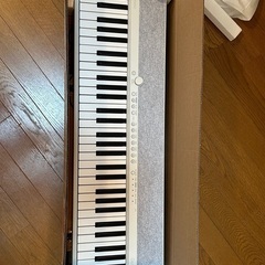 カシオトーン　Casiotone CT-S1 WE 