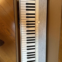 カシオトーン　Casiotone CT-S1 WE の画像