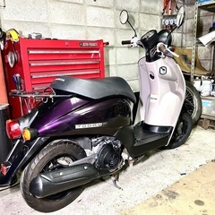 ☆安心の点検整備.動画☆ホンダ トゥデイ F Fi AF67☆低走行な良質個体！希少おしゃれカッコ良いカラーです！長く使用したい方是非ご検討下さい！の画像