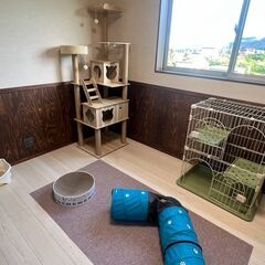ペットホテル受付・お世話などの業務の画像