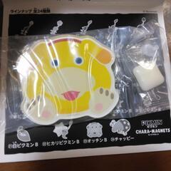 ピクミンマグネット　オッチンB
