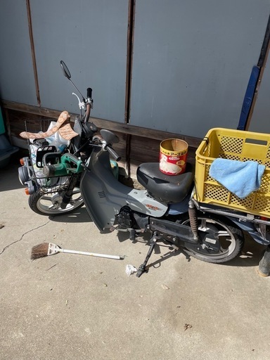 スズキ、バーディ