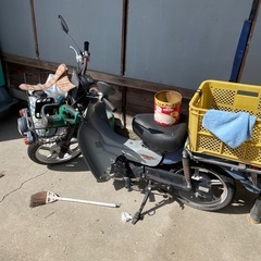 スズキ、バーディ