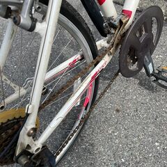 ZUM GT マウンテンバイク インチ不明 ホワイトの画像