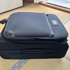 受け渡し予定中)キャリーケース　35x55x29 多少汚れ