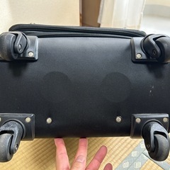 受け渡し予定中)キャリーケース　35x55x29 多少汚れの画像