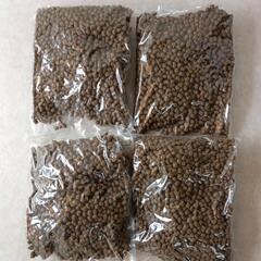 ドッグフード ZEN 猪肉 成犬＆シニア犬用 小粒