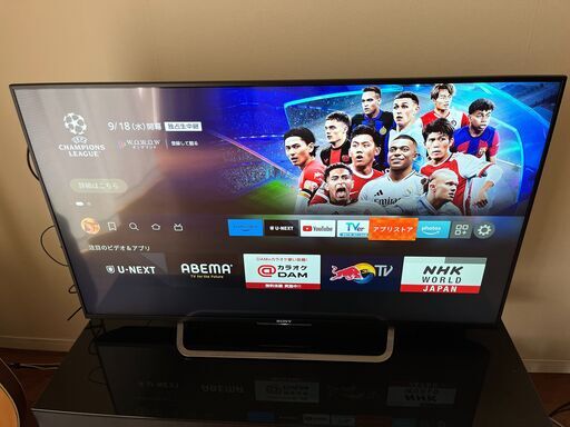 【Sony】液晶テレビブラビア49型 2016年製