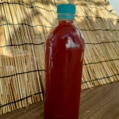 メダカや植物等に！PSB(光合成細菌) 600ml
