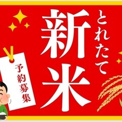 新米　玄米30キロ　令和６年