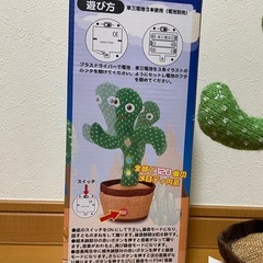 【受け渡し予定者決定】ダンシングサボテンの画像