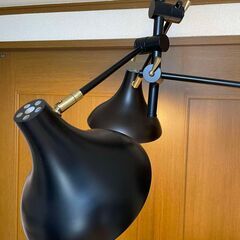 ブルックリンスタイル・３灯ブラックシーリングライトの画像