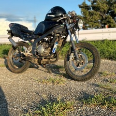 tzr50売ります。