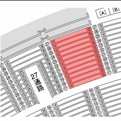 PayPayドーム最終戦　ホークスvsロッテ　ペアの画像