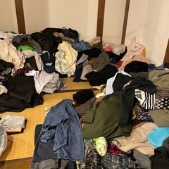 新品あり！宝探しどうぞの画像