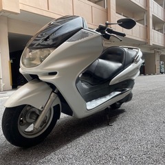 マジェスティ250 SG03J

