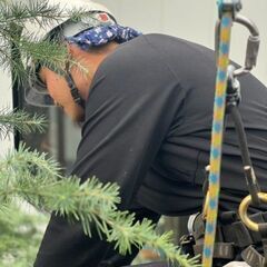🔥高額求人🔥月給45万円以上可💰造園スタッフ☘️即日勤務OK🚀黙々作業でコミュ力不要😊年齢関係なく誰でも歓迎😎の画像