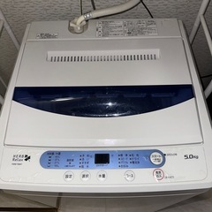 全自動洗濯機5kg(ヤマダ電機オリジナルherb relax)の画像
