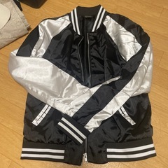 (交換可能)スカジャン
