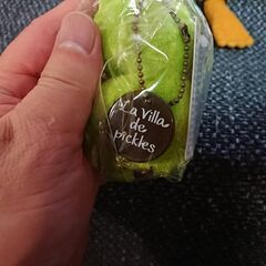 未使用　新品　袋入りやタグ付き　カエルのぬいぐるみ　人形？　４個　　　Frog and Toad Crocodile Creek-  BOOK friends       La Villa de pickles     の画像