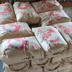 令和6年産　新米あきたこまち　❶