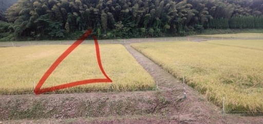 お米　取引先決まりました