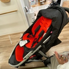 2人乗りベビー
カー　フィルアンドテッズ　vibeの画像