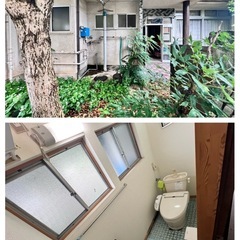 トイレ撤去＆新設、配管設置、庭剪定＆整地