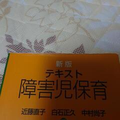 新版　障害児保育の画像