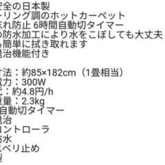 【お話中】ホットカーペット　フローリング調の画像