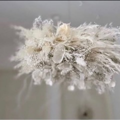 パンパスグラス　小分け　mjの画像