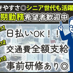 ≪シニア活躍中！≫商業施設の警備業務！夜勤でがっつり稼ぐ☆日払い...