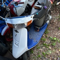 af24 タクト