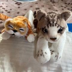 ぬいぐるみ　猫二箇セット　1台は電池で動きます