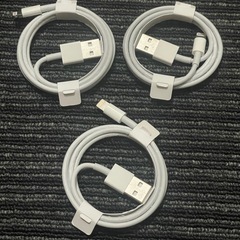 iPhone 3 純正ケーブル