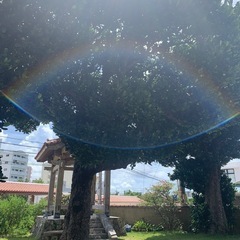 【無料】これで身につく指導者メソッドの日常内観🌈✨️