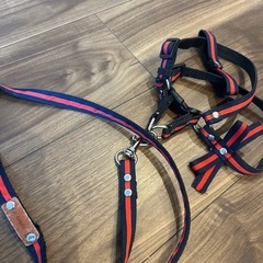 小型犬用セットの画像