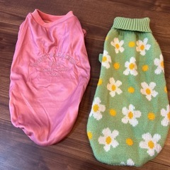 犬用の服の画像